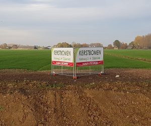 kerstbomen banner